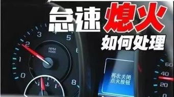 猎豹汽车怠速多少